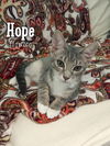 Hope