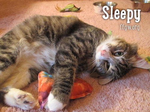 Sleepy