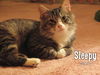Sleepy
