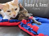 Reese