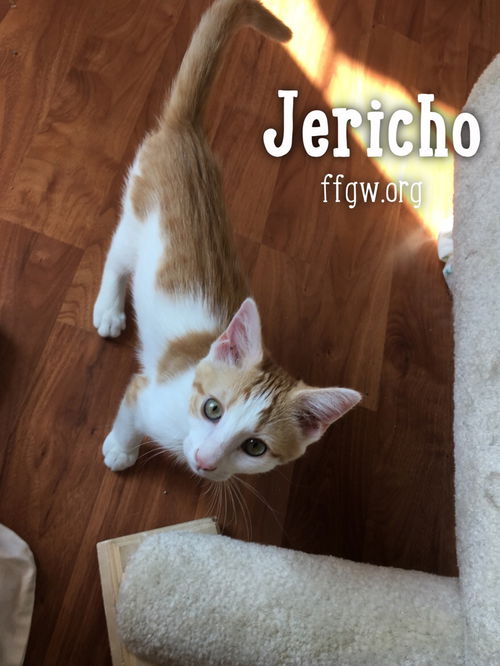 Jericho