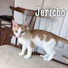 Jericho