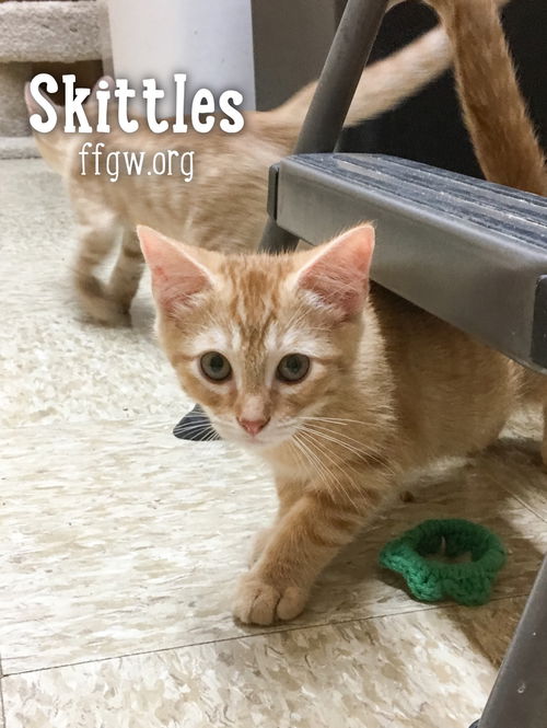 Skittles