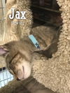 Jax