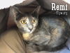 Remi