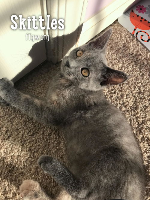 Skittles