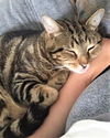 Louis