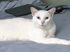 Casper