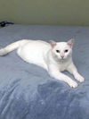 Casper