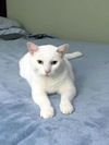 Casper
