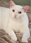 Casper