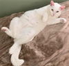 Casper
