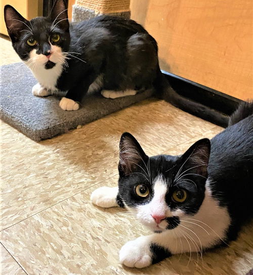 Bonnie & Clyde