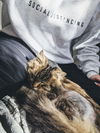 Lulu