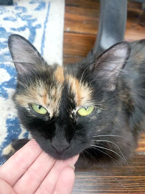 Cleo