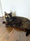 Cleo