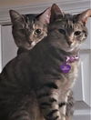 Dawn & Eva