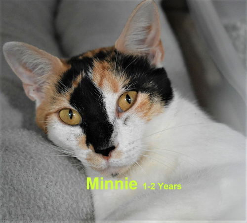 Minnie