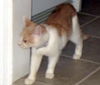 Gideon