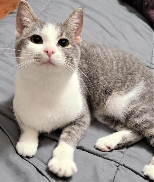 Penny