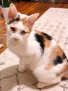 Gilda