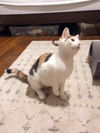 Gilda