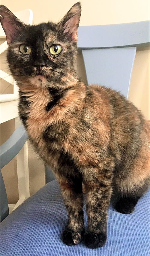 Bonnie