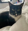 Penelope