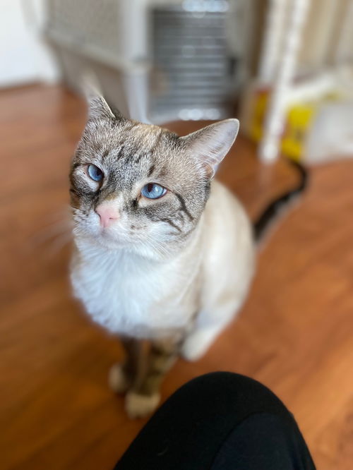 Binx