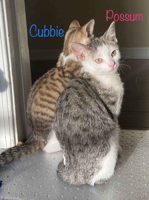 Possum & Cubbie