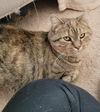 Lucy