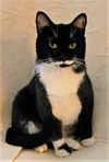 Blackie