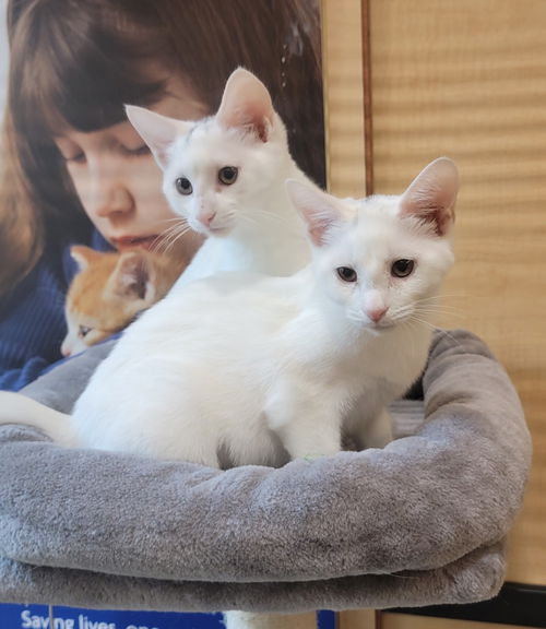 Giulia & Gianna
