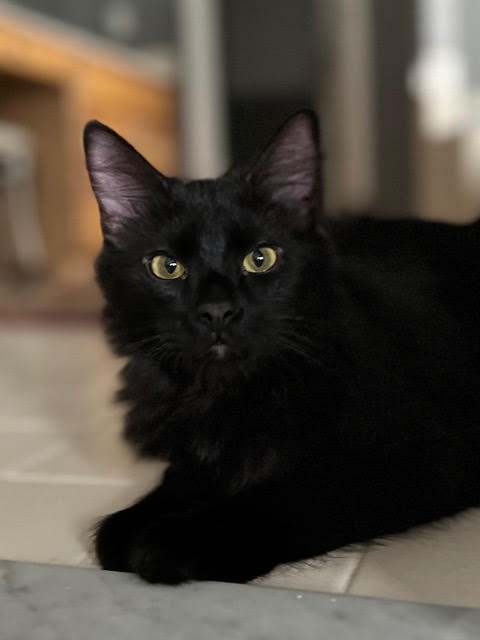 Binky