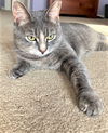 Lulu