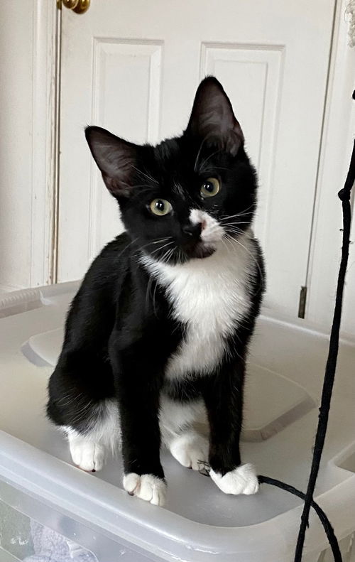 Logan