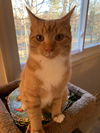 Clyde