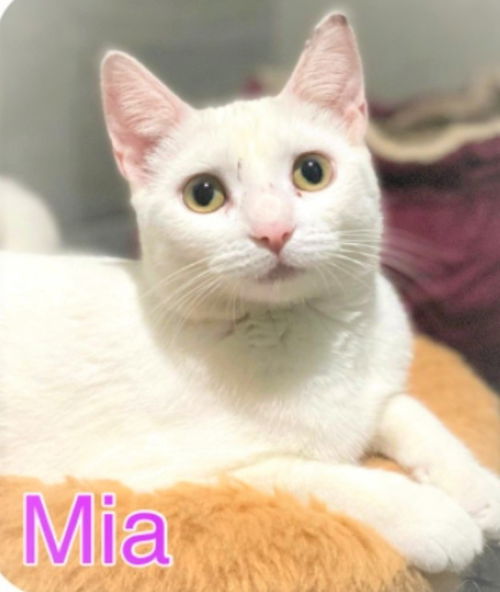 Mia