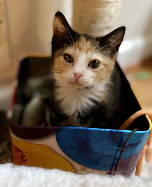 Greta