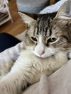 Mildred