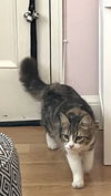 Mildred