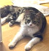 Mildred