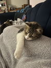 Mildred