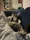Mildred