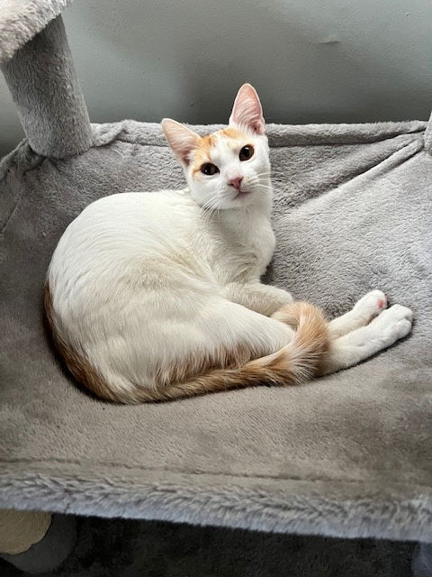 Coco