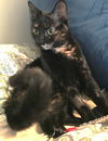 Princess Coco