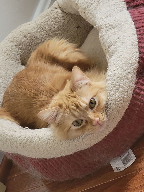Milo