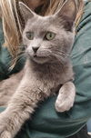 Binx