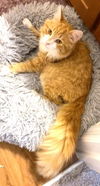 Ricki