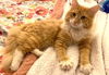 Fred